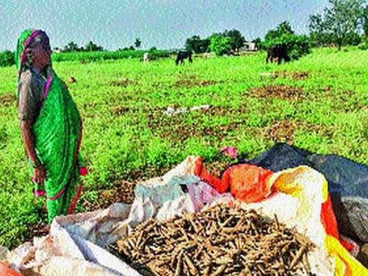 राज्यातील शेतकऱ्यांच्या चिंता वाढली! पुढचे 48 तास महत्त्वाचे; या भागात अवकाळीची शक्यता