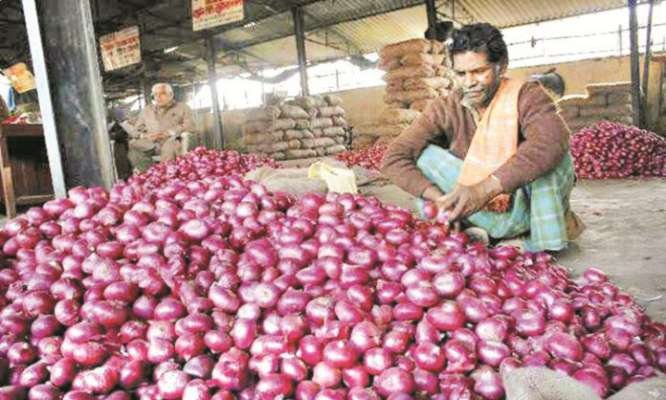 तेलंगणात हमीभावामुळं कांद्याला दुप्पट भाव, उत्पादनात महाराष्ट्र आघाडीवर : नागेश गोडाम