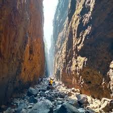 महाराष्ट्रातली मोठी दुर्घटना टळली! 500 पर्यटकांचा जीव होता मुठीत? येथे घडली घटना?