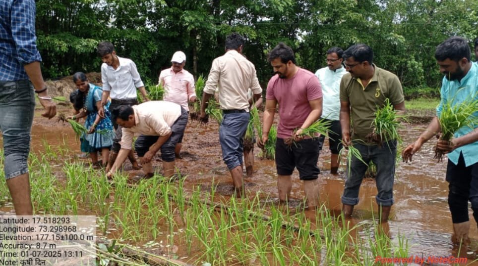 मुंढर गावी कृषीदिनानिमित्त चारसूत्री भातशेती लागवड प्रात्यक्षिक व वृक्षारोपण कार्यक्रम संपन्न