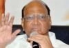 मविआची ‘स्थानिक’ची रणनीती ठरली! उद्धव-राज एकत्र हा फायदाच युतीचा निर्णय सरसकट नव्हे तर हे ओळखून : शरद पवार