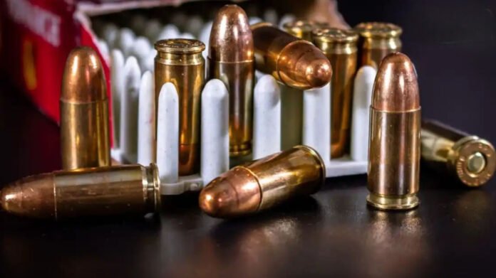 InShot_20251203_164140914