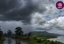 महाराष्ट्रावर महादुष्काळाचं संकट, राज्यात 31 ऑगस्टपर्यंतच पाणीसाठा, शेतीसाठी पाणी पुरवठा बंद