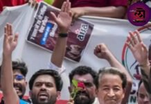 पुण्यात कॉक्रोच जनता पार्टीच्या आंदोलनात दिशा ठरली; मुख्यमंत्री देवेंद्र फडणवीसांचाही खरपूस समाचार