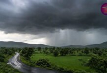 बंगालच्या उपसागरात कमी दाबाचा पट्टा; पुढच्या चार दिवसात पावसाची शक्यता मॉन्सून पुन्हा सक्रीय होणार?