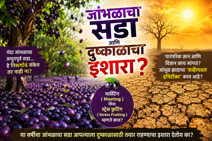 Rains Jamun