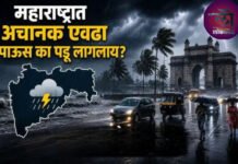 महाराष्ट्रात अचानक इतका पाऊस? येत्या 5 दिवसांत सर्वदूर पावसाची शक्यता सावध राहण्याचा इशारा?
