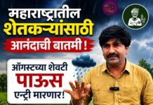महाराष्ट्रातील शेतकऱ्यांसाठी आनंदाची बातमी, ऑगस्टच्या शेवटी पाऊस एन्ट्री मारणार, हवामान तज्ज्ञ पंजाबराव डख यांचा अंदाज