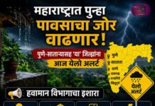महाराष्ट्रात पुन्हा पावसाचा जोर वाढणार! पुणे-साताऱ्यासह ‘या’ जिल्ह्यांना आज येलो अलर्ट, हवामान विभागाचा इशारा