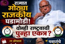 राज्यात मोठ्या राजकीय घडामोडी दोन्ही राष्ट्रवादी पुन्हा एकत्र? २९ ऑगस्टला मुंबईतच निर्णय? याभेटीमुळे पवारांचे मोठे पाऊल